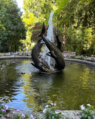 観光6