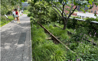 ハイ